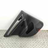 Türpolster hinten links