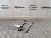 Antenne Dach Chevrolet Orlando (J309)