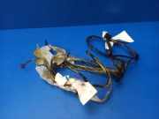 Kabelbaum BMW X4 (F26) xDrive 20 d 9315131 6909002