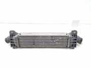 Ladeluftkühler FORD MONDEO III (B5Y) 2.0 TDCi 1S709L440AD