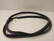 Türdichtung Mercedes-Benz M-Klasse (W164)