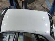 Dach AUDI Q5 (8R) 2.0 TDI quattro