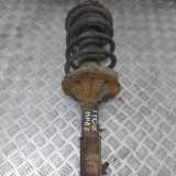 Stoßdämpfer vorne rechts KIA CARNIVAL II (GQ) 2.9 CRDi