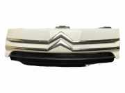 Gitter Grill vorne links CITROËN JUMPY 1.6 HDi 90 16V 1497651077