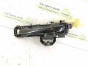 Türaußengriff hinten links