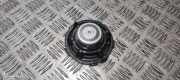Lautsprecher vorne Mercedes-Benz GLC Coupe (C253) A2058201002