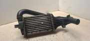Ladeluftkühler Opel Zafira A (T98) 81770