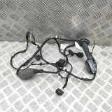 Türverkabelung hinten rechts BMW X5 (G05) xDrive 30 d Mild-Hybrid 5A5B6D5