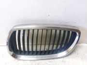 Vorderer oberer Gitter BMW 3 Coupe (E92) 320 i 1020250707