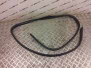 Türgummi rechts vorne Smart Forfour (454)