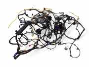 Kabelbaum Kia Sorento II (XM) 915512P921