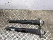 Stoßdämpfer hinten links SKODA ENYAQ iV Coupe (5AC) RS 1EA512013BE