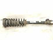 Stoßdämpfer vorne links