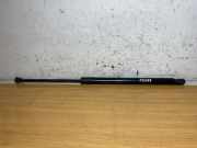 Heckklappe Gasdruckfeder rechts VW GOLF VII (5G1, BQ1, BE1, BE2) 1.0 TSI #C2014 5G6827550C