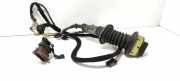 Türverkabelung hinten links PEUGEOT 307 (3A/C) 2.0 HDi 90 9646073480