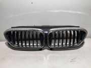 Vorderer oberer Gitter BMW 5 Touring (G31) 520 d xDrive 187156