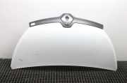 Motorhaube Renault Trafic III Kasten (FG)