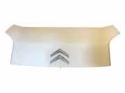 Motorhaube CITROËN NEMO Furgon (AA_) 1.3 HDi 75