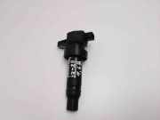 Zündspule Hyundai iX20 (JC) 273012B010