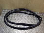 Dichtungsgummi der hinteren Tür (an der Karosserie) PEUGEOT 4007 (GP_) 2.2 HDi