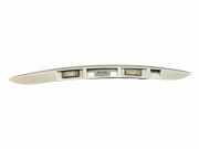 Kennzeichenbeleuchtung RENAULT GRAND SCÉNIC III (JZ0/1_) 1.5 dCi 848100006R