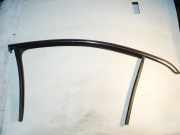 Türgummi rechts vorne VW Passat B7 Variant (365) 3С4837432