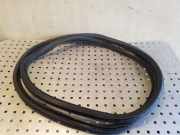 Türgummi rechts vorne VW Passat B7 (362) 3C4867911B