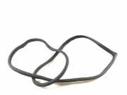 Türdichtung Hyundai Tucson III (TL, TLE)