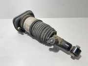 Stoßdämpfer links hinten BMW X5 (G05, F95) 6869047