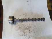 Auspuffkrümmer Hyundai iX20 (JC) 2435028010