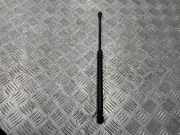 Heckklappendämpfer links BMW 1er Cabriolet (E88) 7060622