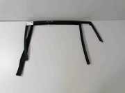 Zierleiste BMW X6 (G06, F96) 7437807