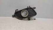 Blende Nebelscheinwerfer Mercedes-Benz A-Klasse (W169) 1698850822