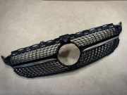 Vorderer oberer Gitter MERCEDES-BENZ C (W205) C 400 4-matic (205.066) A2058881560