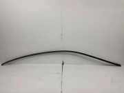 Dachleiste links BMW 5 (F10) 520 d 7234332