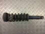 Stoßdämpfer rechts hinten BMW X3 (F25) 6796317