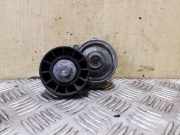 Riemenspanner PEUGEOT 407 Coupe (6C_) 2.0 HDi