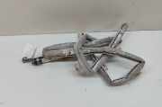 Airbag Dach links Skoda Superb III Kombi (3V) 3V9880741D
