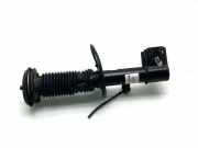 Stoßdämpfer vorne links