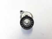Riemenspanner VOLVO V60 D3 31330379