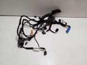 Kabel Tür vorne rechts VW GOLF VIII (CD1) 2.0 TSI GTI 5H4971162BL