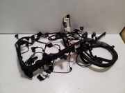 Motor Kabelbaum BMW X6 (F16, F86) xDrive 30 d 8516449