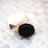 Ausgleichsbehälter MERCEDES-BENZ S Coupe (C217) S 500 (217.382) N/A