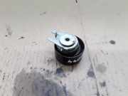 Umlenkrolle für Keilrippenriemen Jaguar S-Type (X200) 7H2Q6K254AA