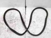 Türdichtungsgummi vorne links LAND ROVER RANGE ROVER EVOQUE (L538) 2.0 D BJ3220708A