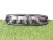 Vorderer oberer Gitter JAGUAR XJ (X308) 3.2 94401 HNC5504BB