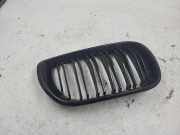 Vorderer oberer Gitter BMW 3 (E46) 320 d