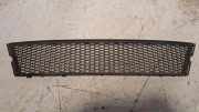 Vorderer oberer Gitter BMW 3 Cabrio (E93) 320 i