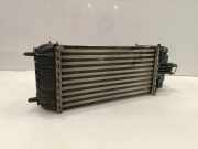 Ladeluftkühler CITROËN C4 CACTUS 1.6 BlueHDi 100 9803900780