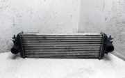Ladeluftkühler RENAULT TRAFIC II Furgon (FL) 1.9 dCi 80 (FL0B) 7700312903